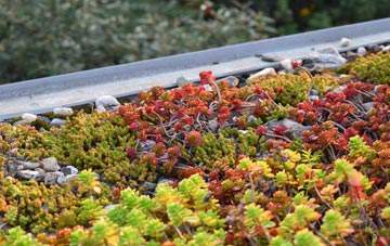 the cost of St Ives green roof installation