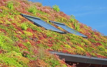St Ives living roof systems